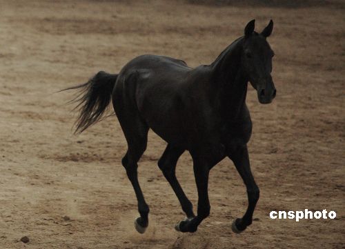 圖片關(guān)鍵詞 圖片關(guān)鍵詞