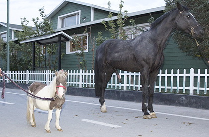 圖片關(guān)鍵詞 圖片關(guān)鍵詞