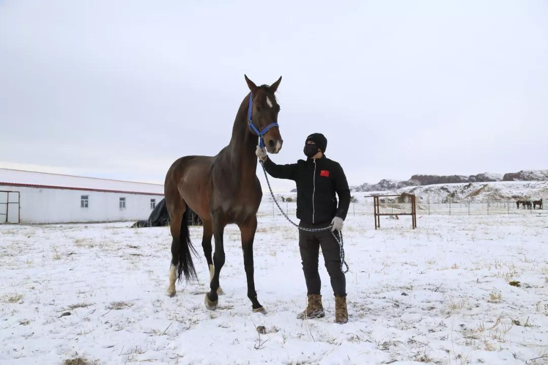 圖片關鍵詞 圖片關鍵詞